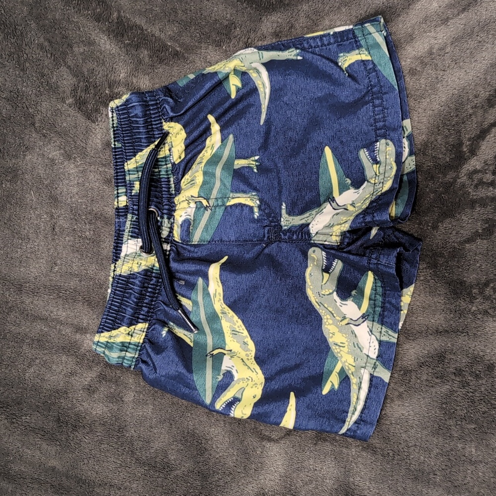 Carter's Surfing T-Rex Swim Trunks